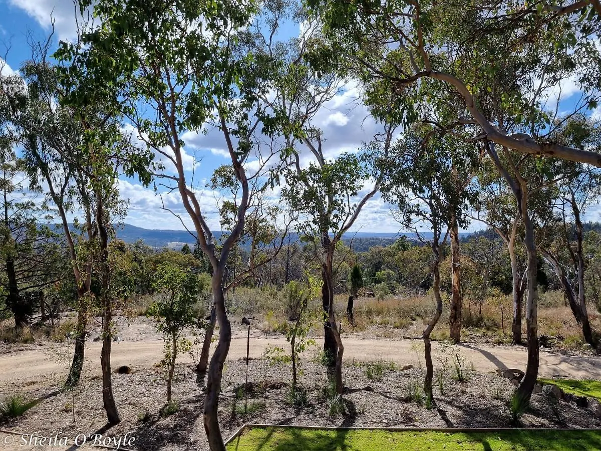 Chalet Glen Lough Cabins Glen Aplin Australia